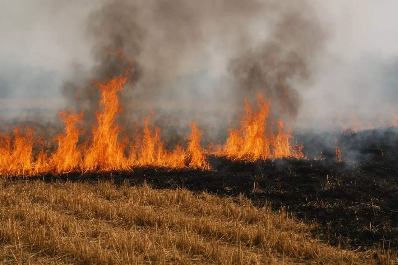  Atto di raccomandazione alla collettività - prevenzione del rischio incendi